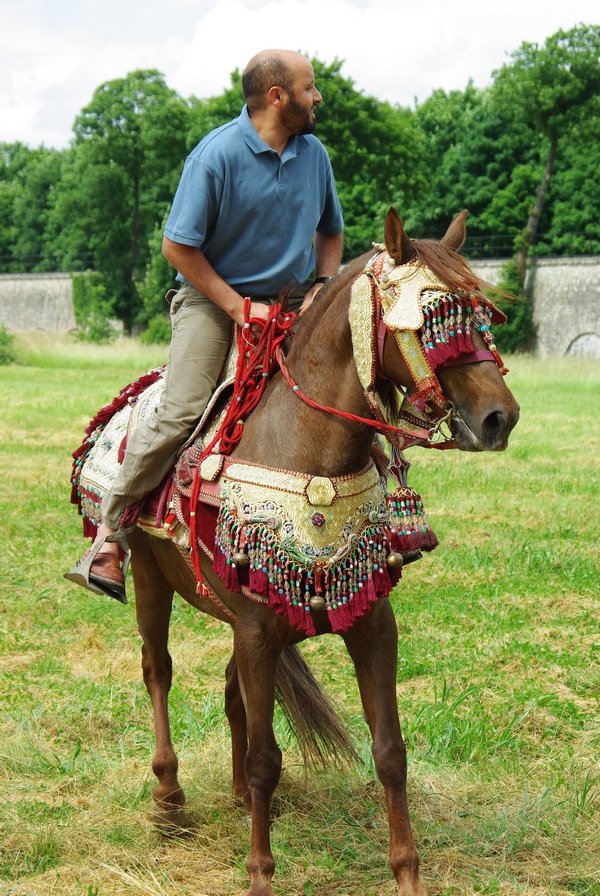 Le Moussem des Cultures 2008 107.jpg